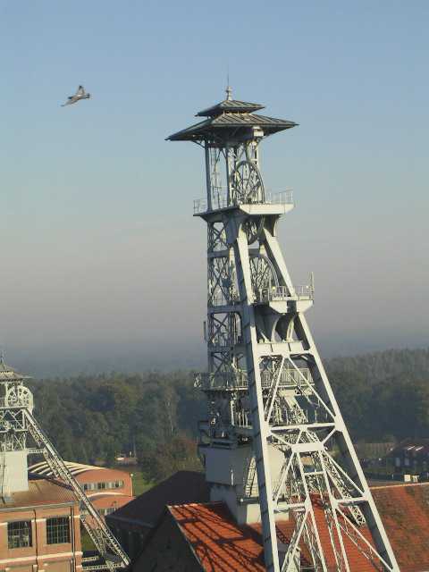 SANY0004.JPG