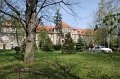 IMG_1258