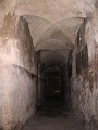 IMG_0598