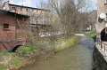IMG_1006